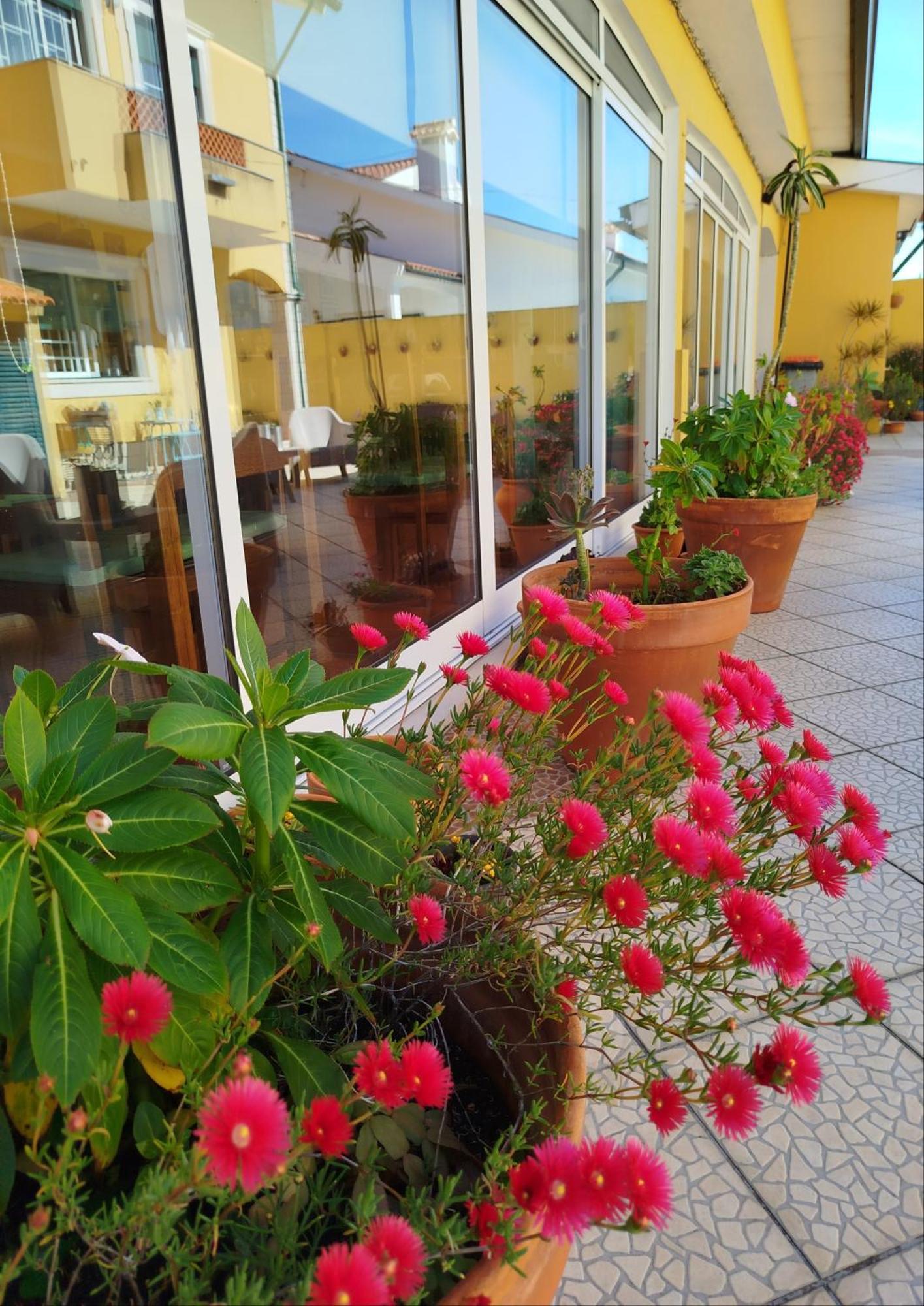 Hotel A Casa Da Ti Laura - Al à Aveiro Extérieur photo